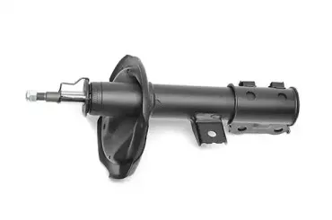 BSG 40-300-063 BSG Амортизатор